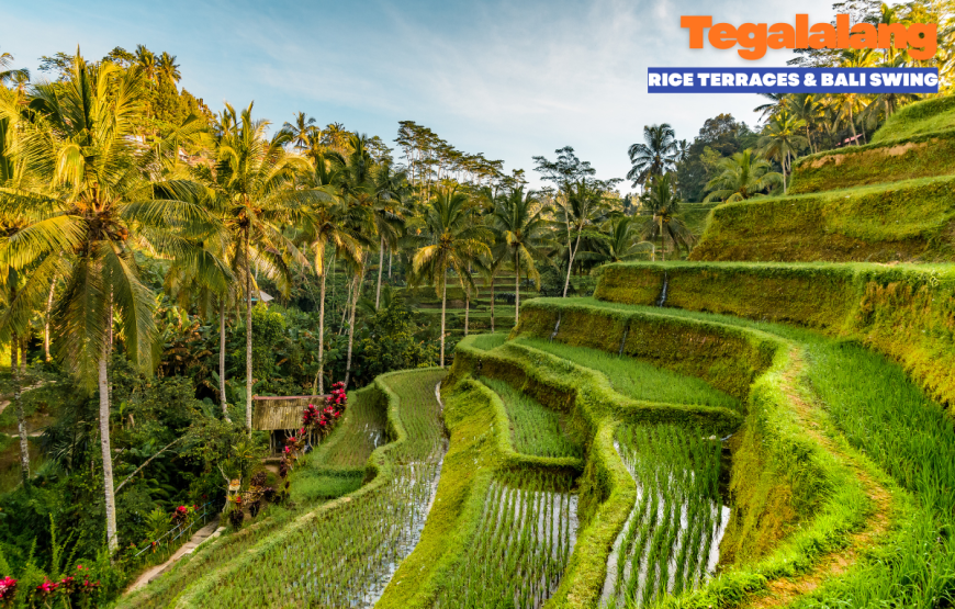 BALI INSTAGRAM TOUR