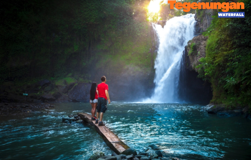 BALI WATERFALL TOUR