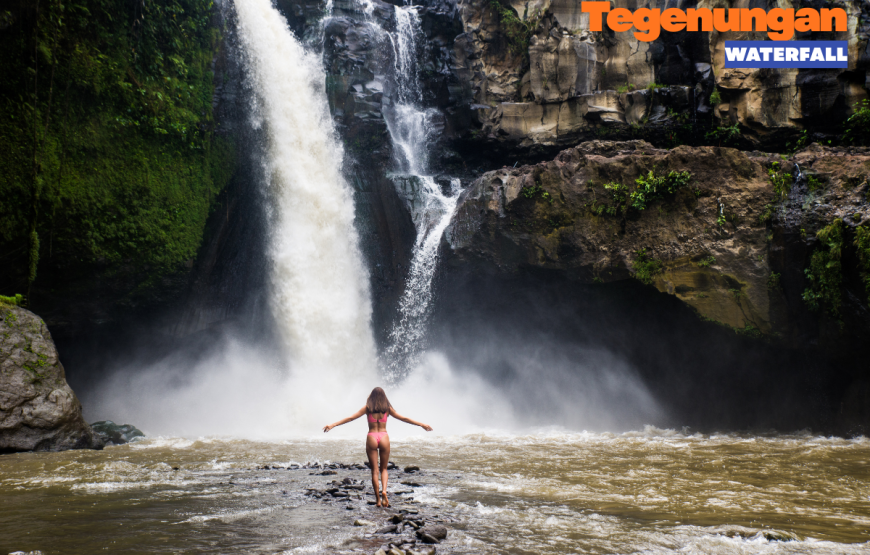 UBUD HALF DAY TOUR