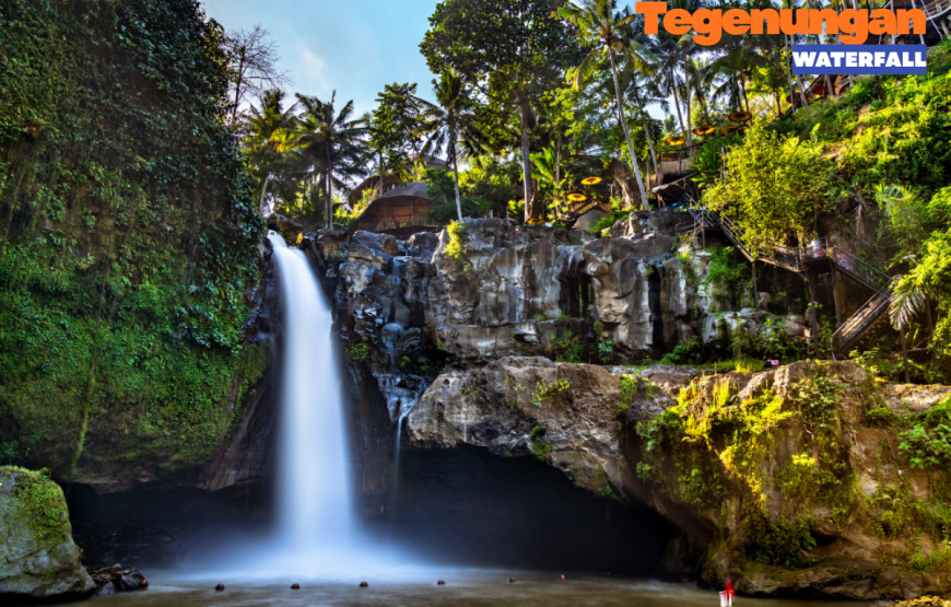 UBUD HALF DAY TOUR