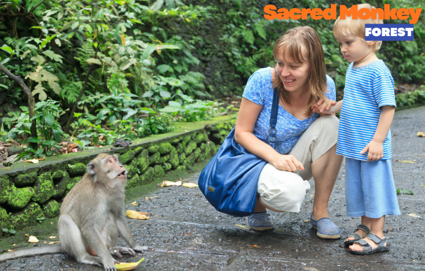 UBUD HALF DAY TOUR