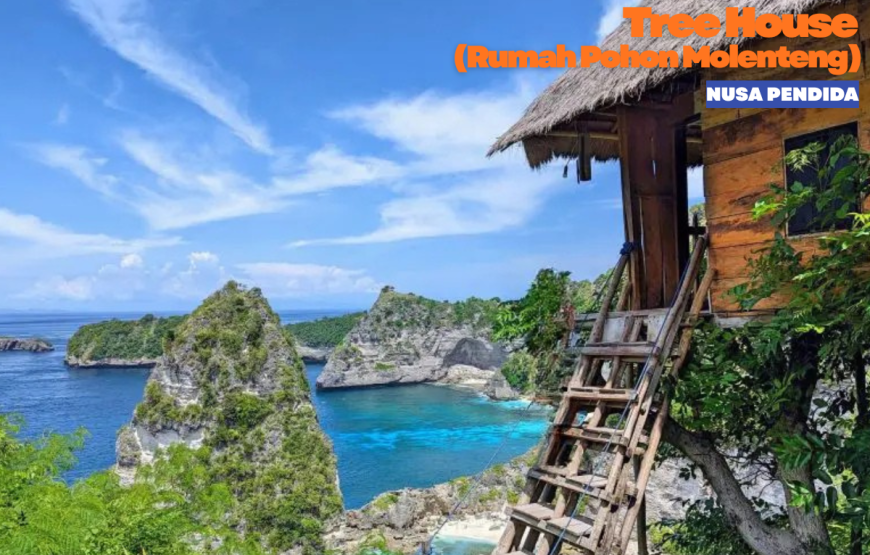 WEST & EAST NUSA PENIDA TOUR